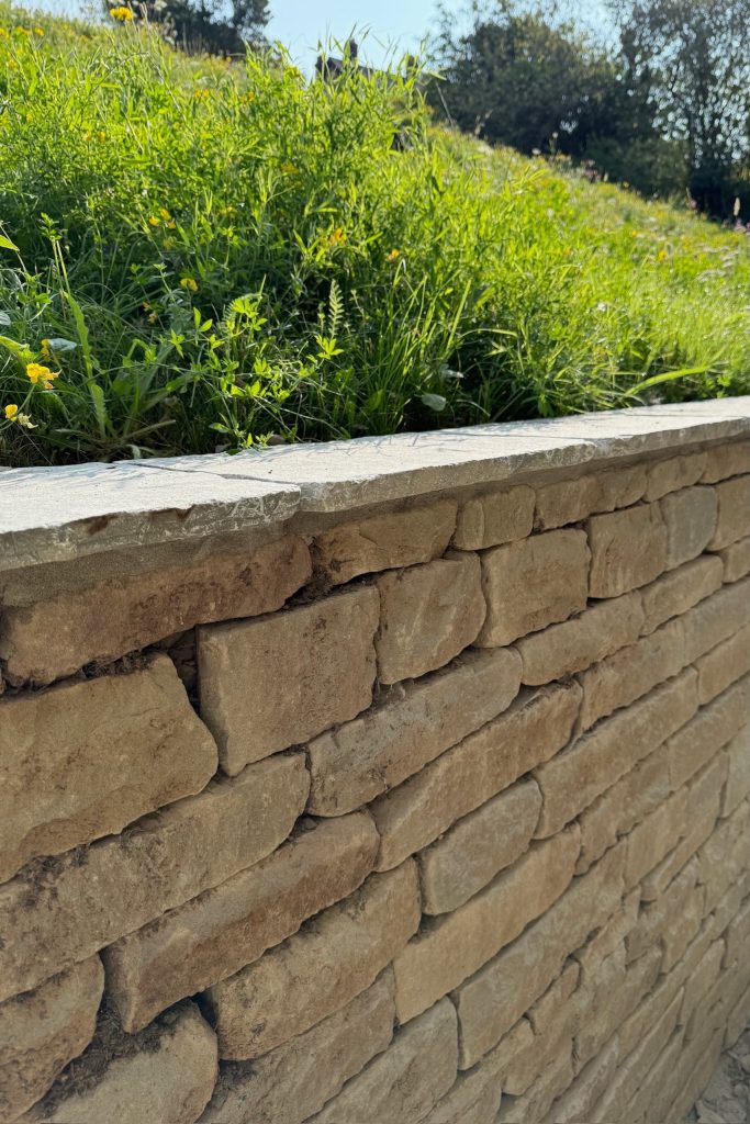 Portfolio Passiframe